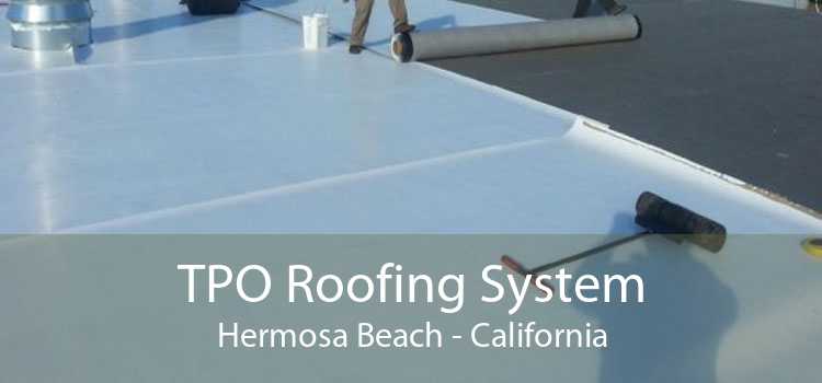 TPO System for Mobile Homes, Flat Roof and Low Slope Roofs